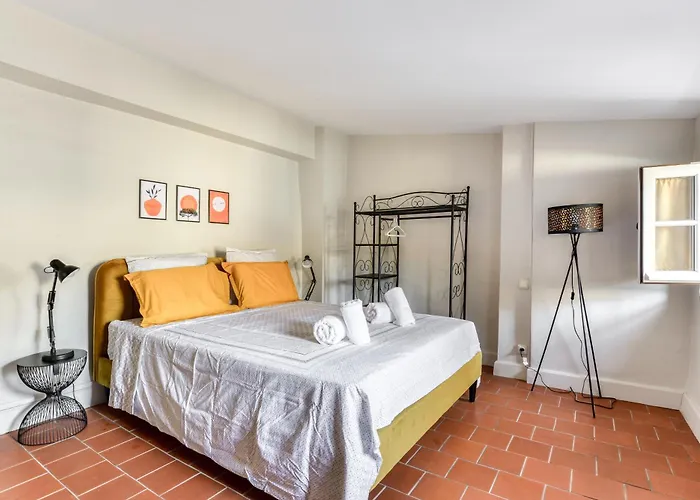 Le Saint Louis - Hyper Centre - Standing - Fibre Daire Carcassonne